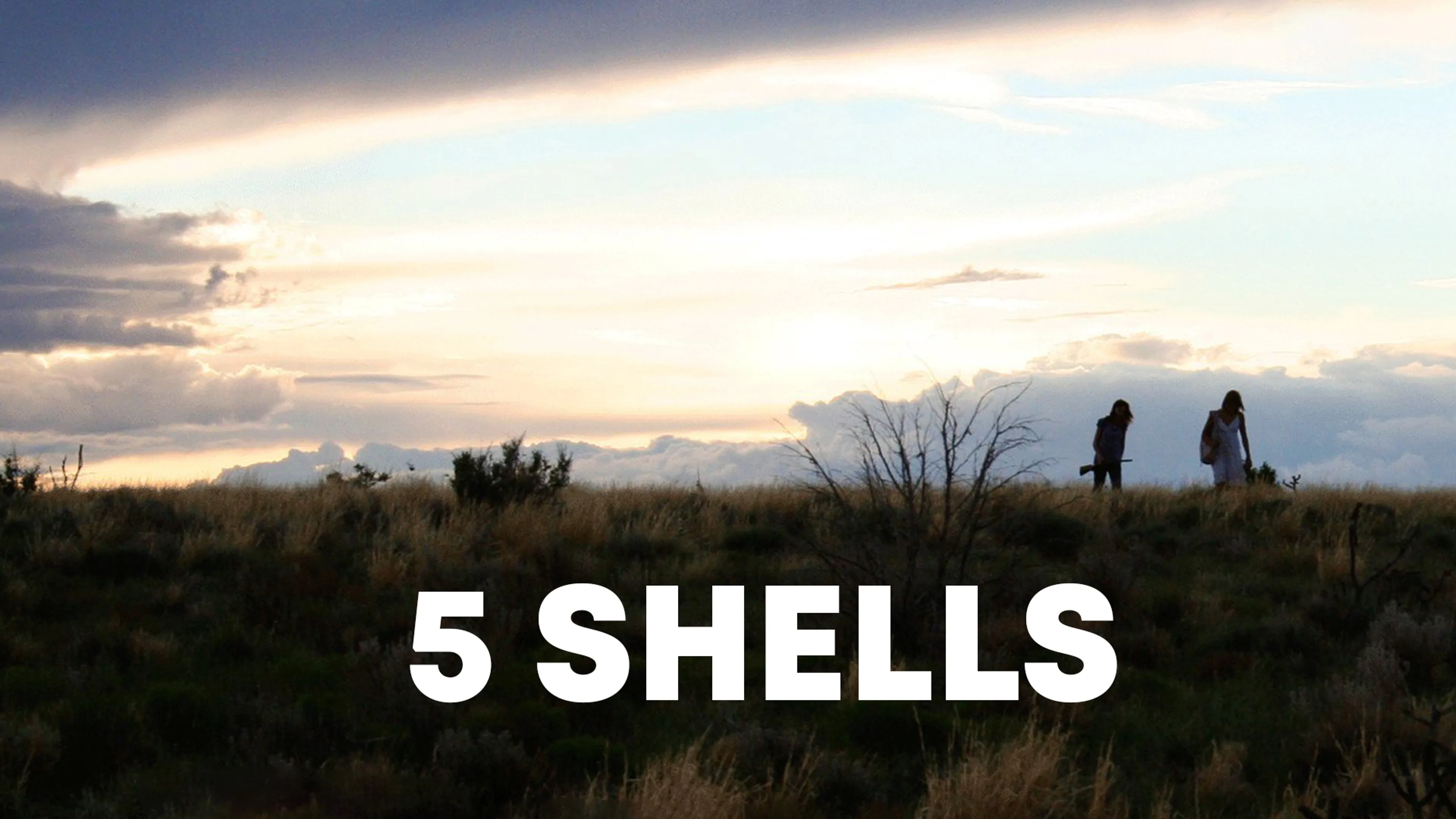 5 Shells poster